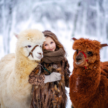 Lade das Bild in den Galerie-Viewer, Vorteile von Alpakavlies: temperaturausgleichend, atmungsaktiv, feuchtigkeitsregulierend und besonders weich – natürliche Füllung für Bettdecken.
